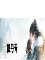 惜丹青