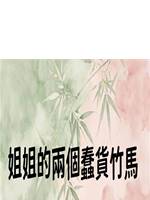 姐姐的兩個蠢貨竹馬